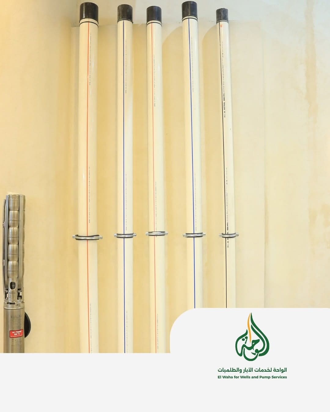 معرض صحارى 2025 6