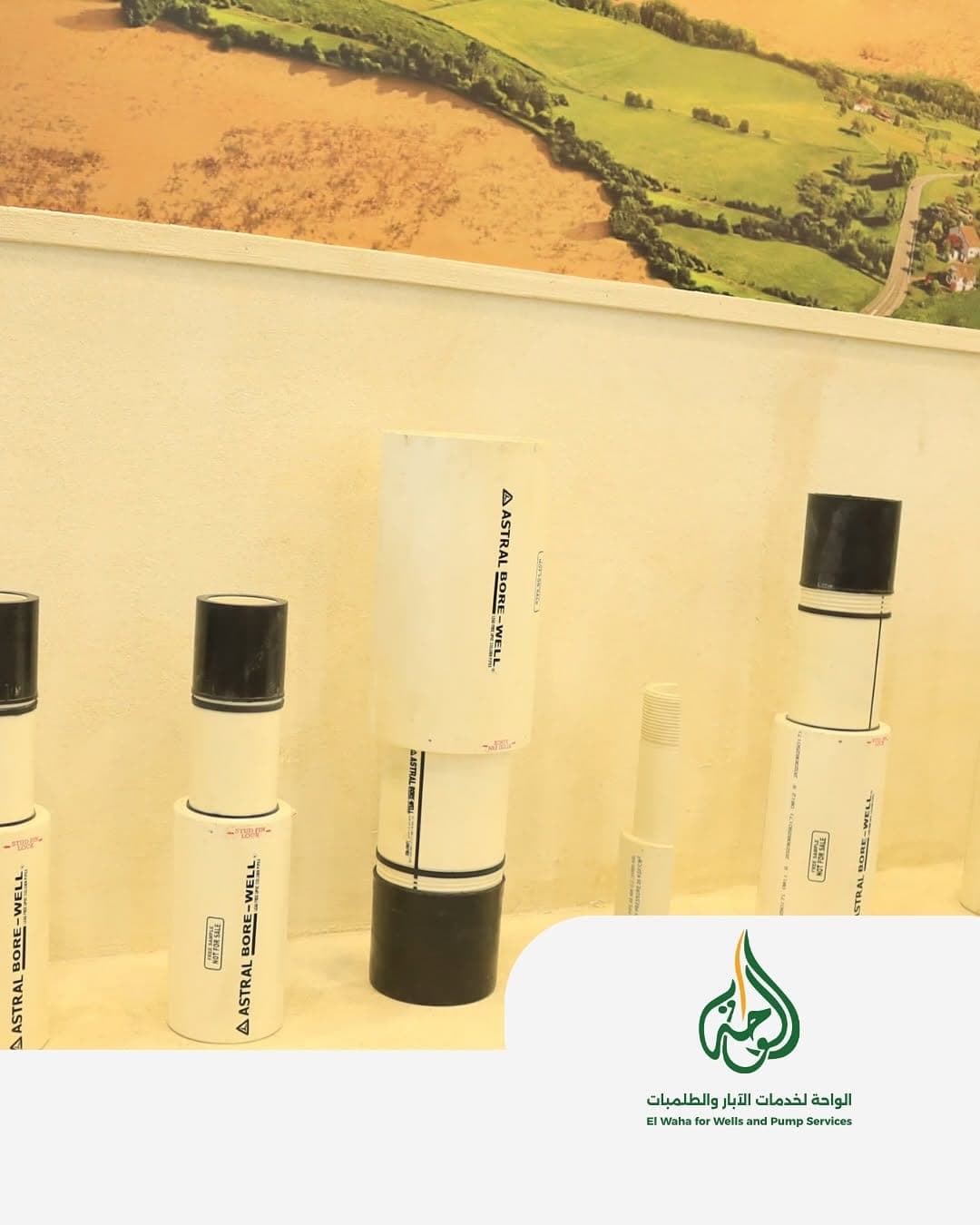 معرض صحارى 2025 7